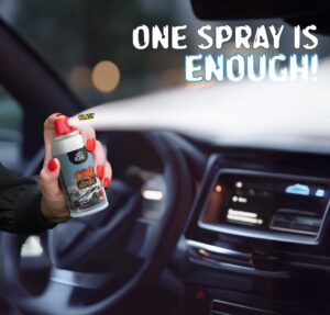 Car-Blast-Aerosol-100ml-2-1.jpeg